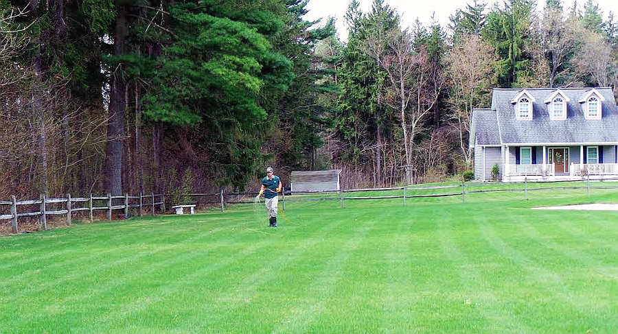 technician spraying large lawn (cropped)