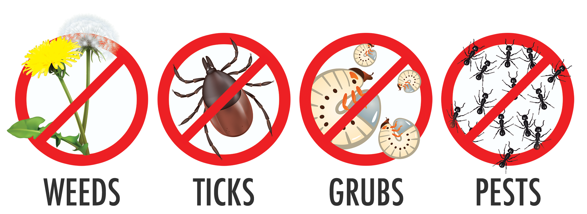 Icon set - Kill weeds, ticks, grubs, and other pests like ants